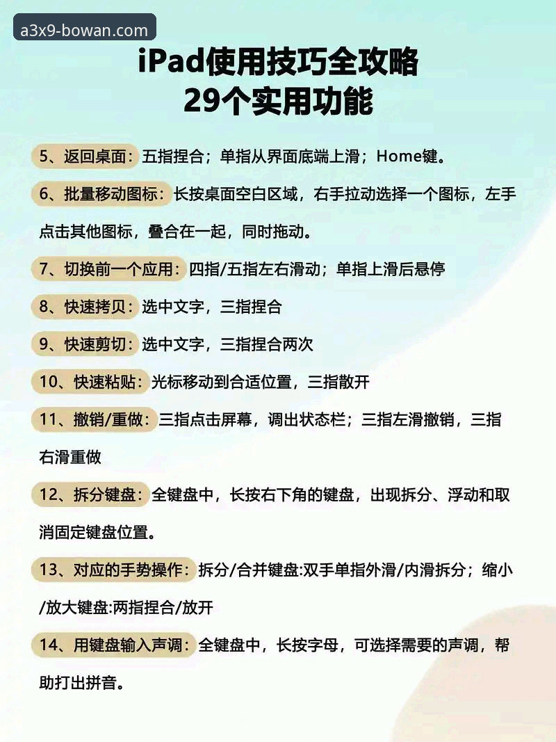 博万官方正版使用指南：从下载安装到高端体验的完整步骤